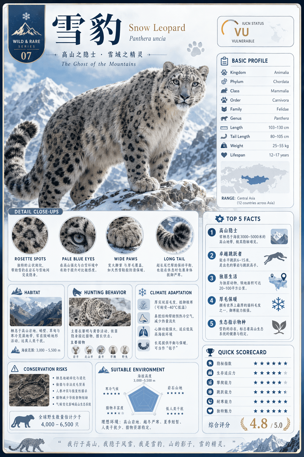 Snow Leopard Encyclopedia Card